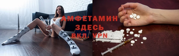 ПСИЛОЦИБИНОВЫЕ ГРИБЫ Балахна