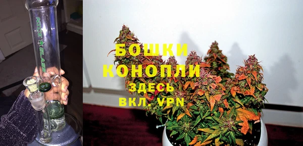 ПСИЛОЦИБИНОВЫЕ ГРИБЫ Балахна