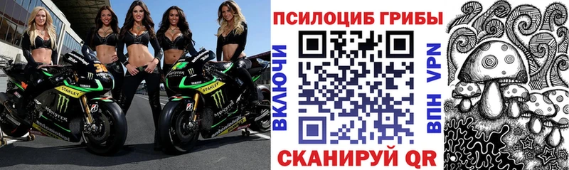 Галлюциногенные грибы GOLDEN TEACHER  купить наркотики цена  Сенгилей 
